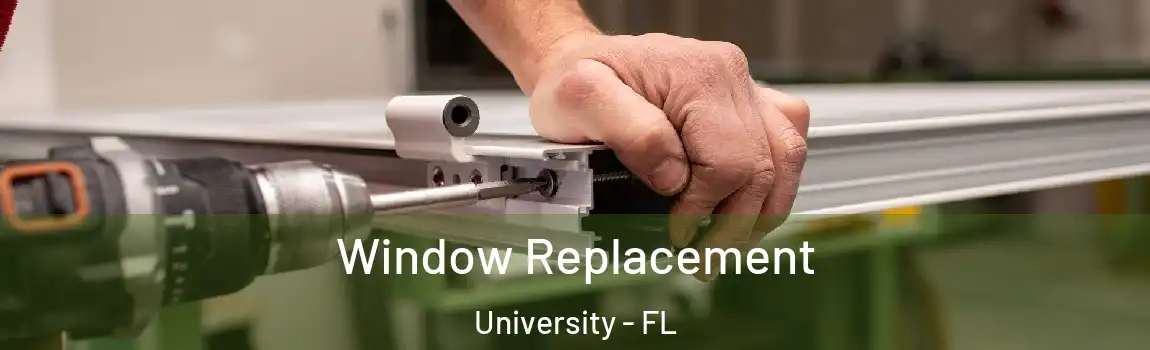  Window Replacement University - FL